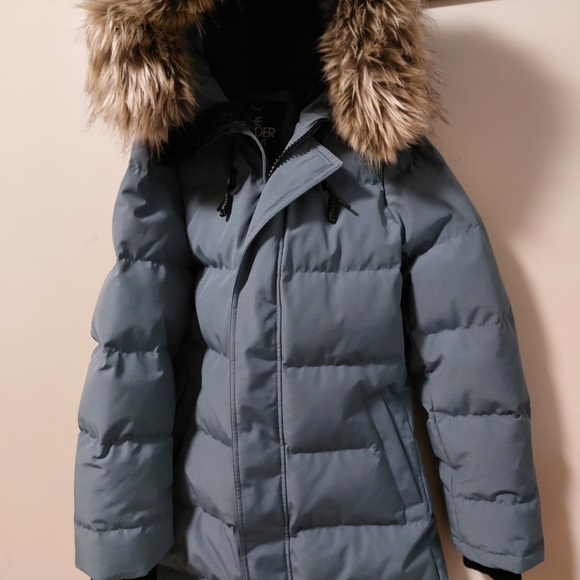 Aritzia TNA Winter Powder Parka Jacket - Picture 7 of 8